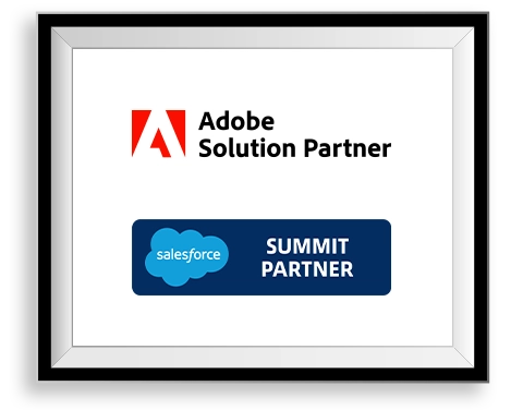 Salesforce partner