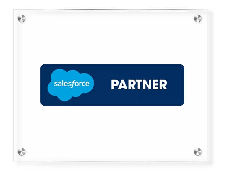 Salesforce Partner