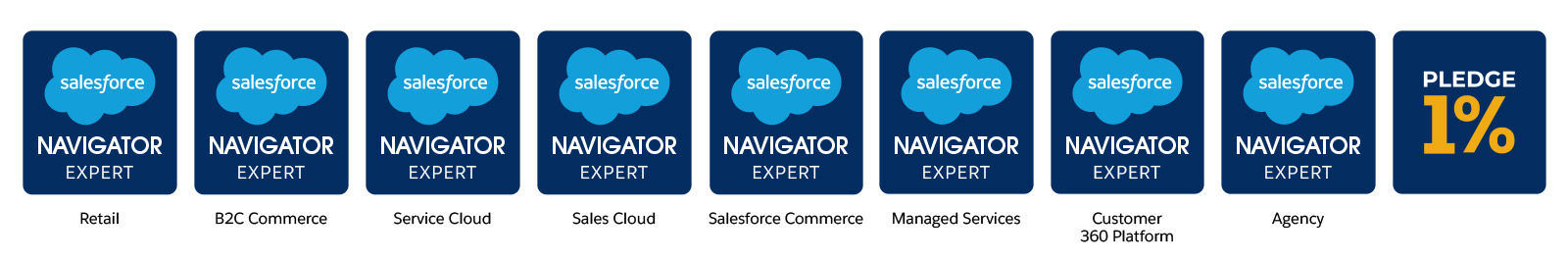 Salesforce Partner with Multi-Cloud Expertise